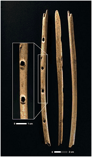 Principes de la flute traversiere, ou flute d'Allemagne : de la flute à  bec, ou flute douce, et du haut-bois, divisez en differents traitez